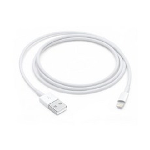 Apple 정품 라이트닝 to USB 케이블 1m, 1개