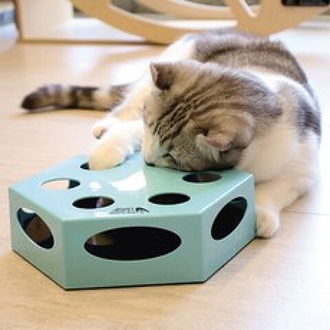 리스펫 사냥본능 고양이 자동 장난감, 블루, 1개