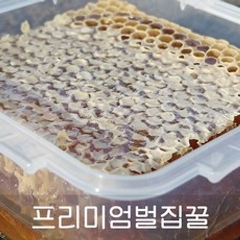 오박사허니콤 프리미엄허니콤 800g, 1개