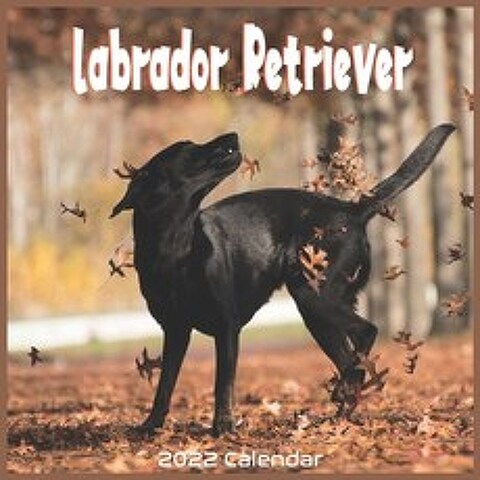 Labrador Retriever 2022 Calendar: Offcial Labrador Retriever Dog breed 2022 Calendar 16 Months Paperback, Independently Published, English, 9798744644765