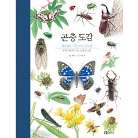 곤충 도감:우리나라에 사는 곤충 144종, 보리