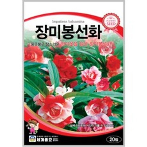 장미봉선화 20립 /관상용 봉선화 야생화 텃밭 키우기 꽃씨 종자 씨앗