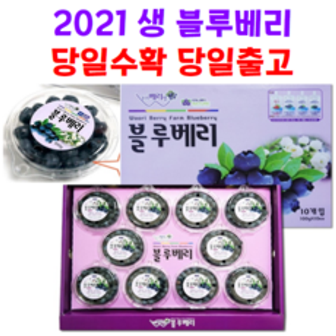 국내산 2021년 생블루베리 생과 당일수확 300g 500g 1kg, 생 블루베리 300g