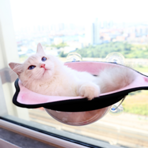 위풍댕댕 고양이 투명 돔 윈도우해먹 20kg하중 창문 부착식 캣선반 캣타워, 투명돔해먹 핑크
