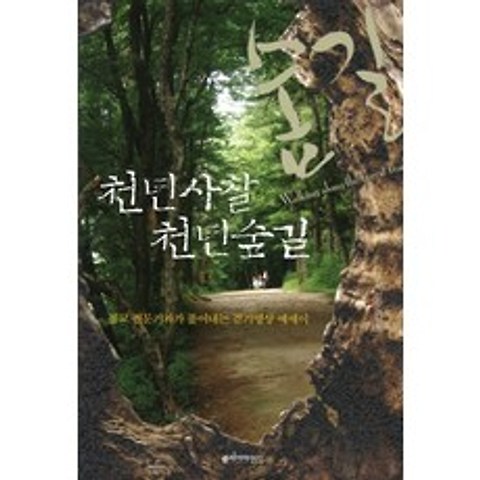천년사찰 천년숲길:불교 전문기자가 풀어내는 걷기 명상 에세이, 클리어마인드