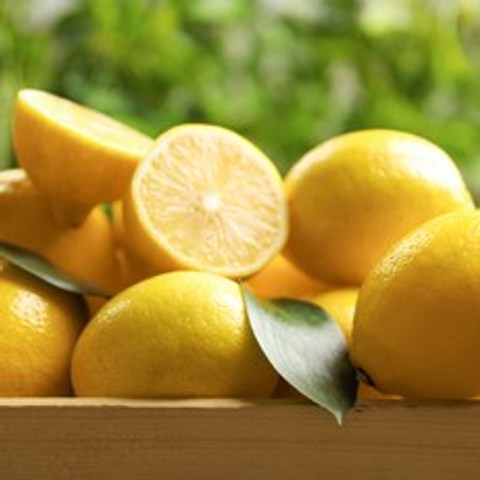 팬시 레몬 중과 3kg(25개내외) 미국산 신선한 레몬, 3kg 25개내외