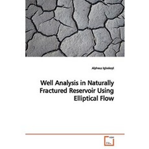 Well Analysis in Naturally Fractured Reservoir Using Elliptical Flow Paperback, VDM Verlag