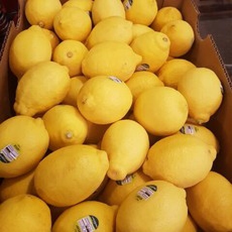 미국산 정품 팬시 레몬, 1박스, 5kg