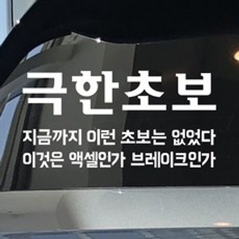 모노먼트 초보운전 스티커 - 극한초보, L_흰색(대형)