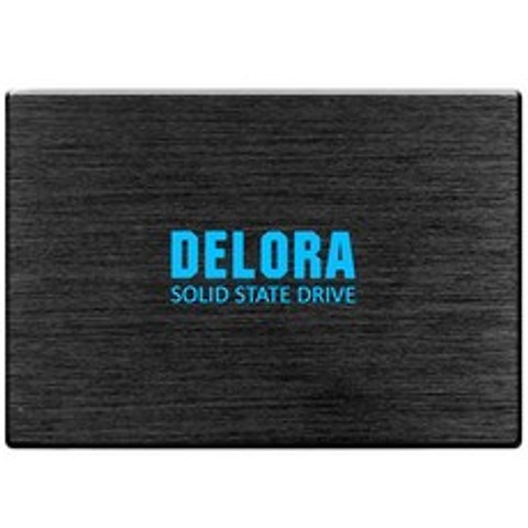 델로라 SSD D1, 120GB