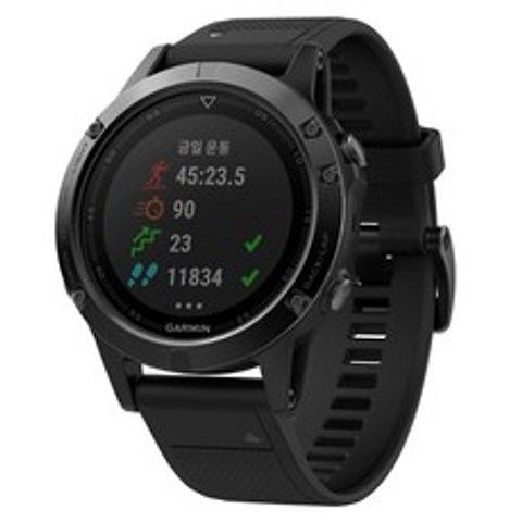 가민 피닉스 5X 멀티스포츠 GPS 스마트워치, A03095, 블랙