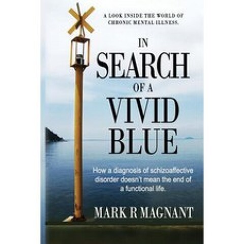 In Search of a Vivid Blue: How a Diagnosis of Schizoaffective Disorder Doesnt Mean the End of a Functional Life. Paperback, M, M&i Publishing