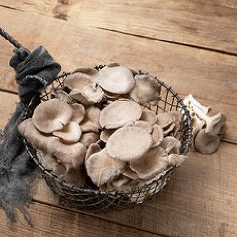 무농약 인증 국내산 고기느타리버섯, 500g, 1개