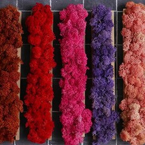앨빈디자인 스칸디아모스 화분 테이블스틱 인테리어 공기정화식물 핑크, 1개