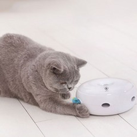 딩동펫 고양이 무지개 펀치 자동 장난감, CT10, 혼합 색상