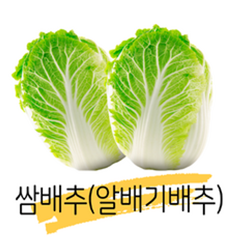 [정가네야채가게] 쌈배추 알배기배추 알배기 알배추(특) 4포기
