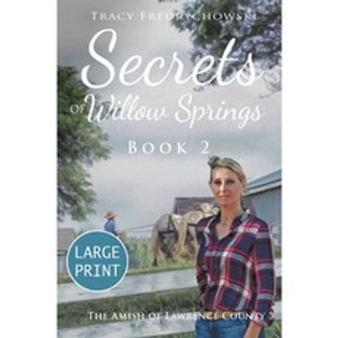 Willow Springs의 비밀-제 2 권 (큰 활자) : 로렌스 카운티의 아미쉬, 단일옵션