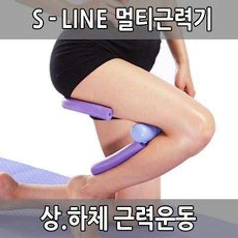 S-LINE 멀티근력기 허벅지운동 상체운동 하체운동 근력운동 홈트, 민트