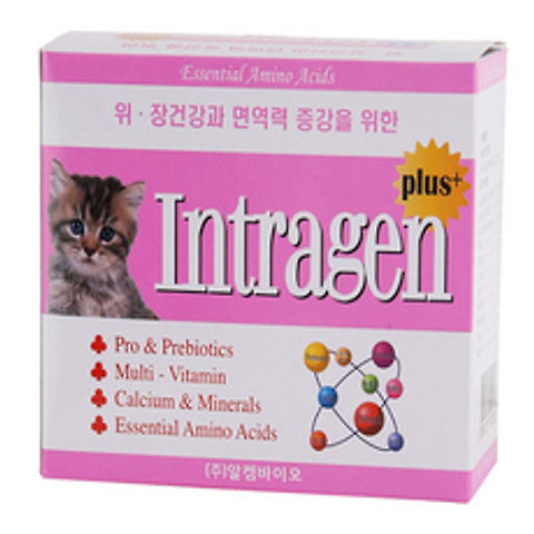 알켐바이오 인트라젠 30P 반려동물 영양제 고양이 영양제/강아지