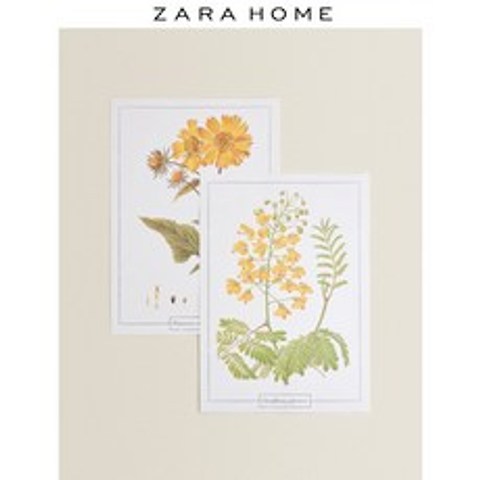 ZARA HOME 자라홈 유럽풍 심플한 꽃 무늬 투피스 장식 종이 43551728052, 피부색 42.0 x 29.7 cm