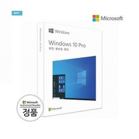 윈도우 10 프로 USB 타입 Windows10pro FPP 처음사용자용 FPP