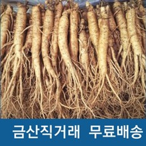 인삼 수삼 실속형 5 6년근 햇수삼(250g) 10-14뿌리 삼계탕 믹서용 원수삼