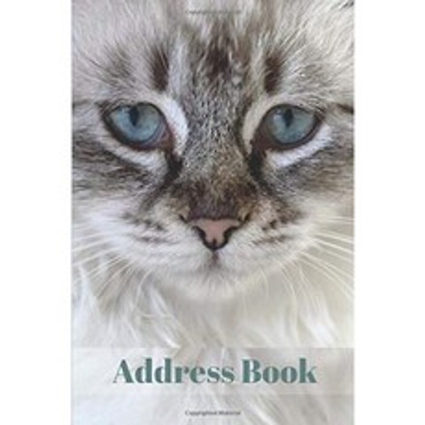 주소록 : 알파벳순 정리 저널 놀라운 고양이 고양이와 주소록 중요한 개인 정보 저장 치수 6 