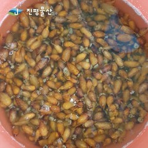 통영의 향긋한 미더덕~, 1박스, 1kg