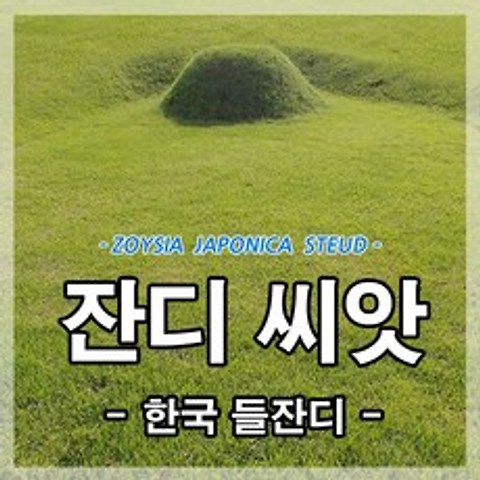 한국잔디씨앗 20g-2개(2평방미터용)잔디씨 산소 정원 공원 골프장 묘지