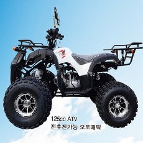 woorimotors 125cc ATV-A형 사륜오토바이 레저용 농업용 효도상품, 하얀색, 125cc ATV