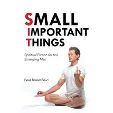 Small Important Things: Spiritual Fiction for the Emerging Man Paperback, Balboa Press