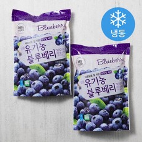 호재준 유기가공 인증 유기농 블루베리 (냉동), 500g, 2개