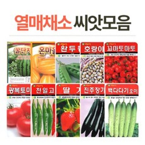 [에타홈] 열매채소 씨앗, 따고또따고(오이고추)
