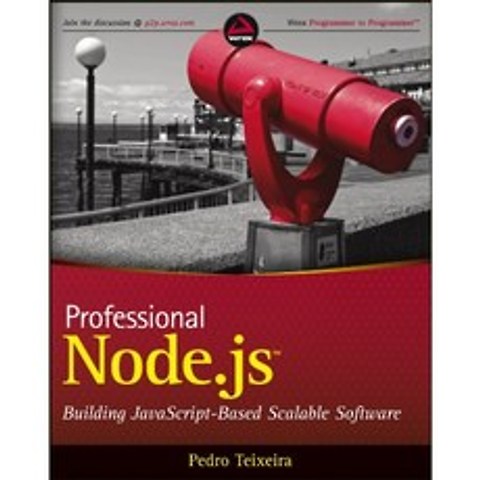 Professional Node.js : 자바 스크립트 기반 확장 가능한 소프트웨어 빌드, 단일옵션