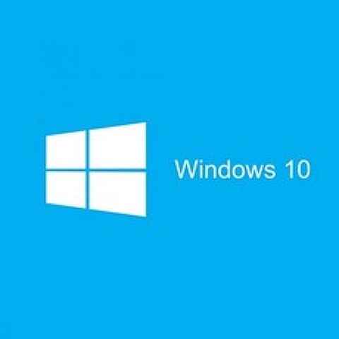 Windows10 Pro (기업용/영구라이선스/다운그레이드가능/GGWA), 留