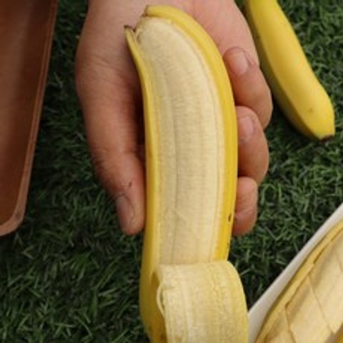 국산 산청 바나나 쫀득 달콤한 유기농 바나나 1.5kg 2.5kg, 국산 산청 유기농 바나나 1.5kg