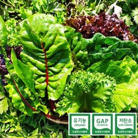 당일수확 친환경 GAP 유기농 모듬 쌈채소 600g 1kg, 유기농 쌈채소 600g