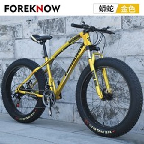 팻 바이크 다운힐 로드 바이크 펫 자전거 오프로드 산악자전거, 24인치 + 금색(휠체어) + 27속