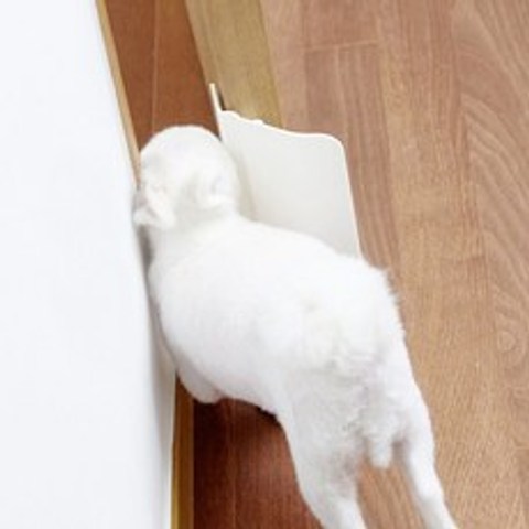 반자동 강아지안전문 고양이안전문 펫도어 방묘문 - 방&화장실용 견문, 크기(가로x세로x높이)