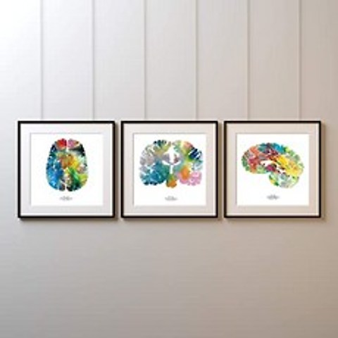 인간의 두뇌 - 3 8.5 x 8.5 두뇌 아트 - 컬러 수채화 신경 과학 신경학 및 심리학 아트 인쇄 - 졸업식 및 학교 선물 아이디어 - 벽 아트 장식 서명, 본상품, 본상품
