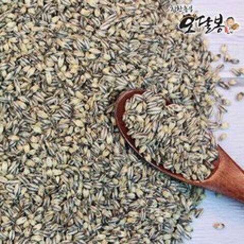 힘찬농부오달봉 2021년 햇 흑보리 흑보리쌀 검정보리쌀 흑찰보리 국내산, 1개, 10kg(5kg+5kg)지퍼팩