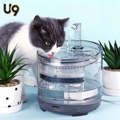 UC9 유씨나인 반려동물 고양이 강아지 투명 미니 정수기 1.5L, Npet-1.5L