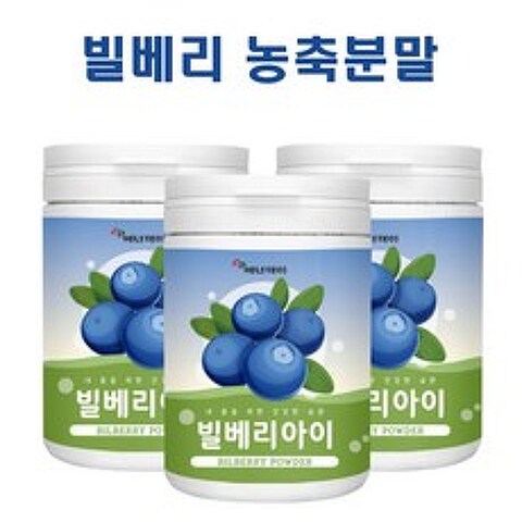 빌베리 분말 가루 와일드 블루베리 열매 추출물 메리골드 안토시아닌 눈건강 루테인 효능 추천 bilberry powder, 3개, 230g