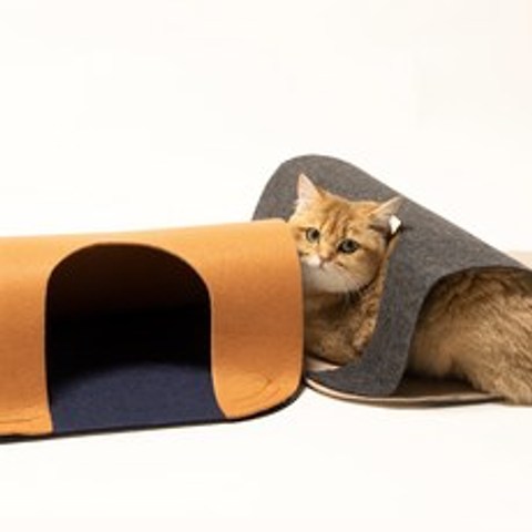 피단 스튜디오 펫 큐브 터널 고양이 놀이터, 2개, 2면(총 4면)