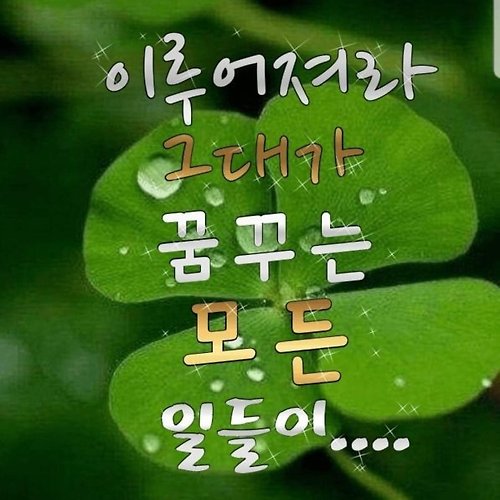 프로필 이미지