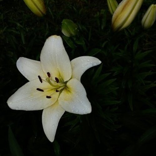 프로필 이미지