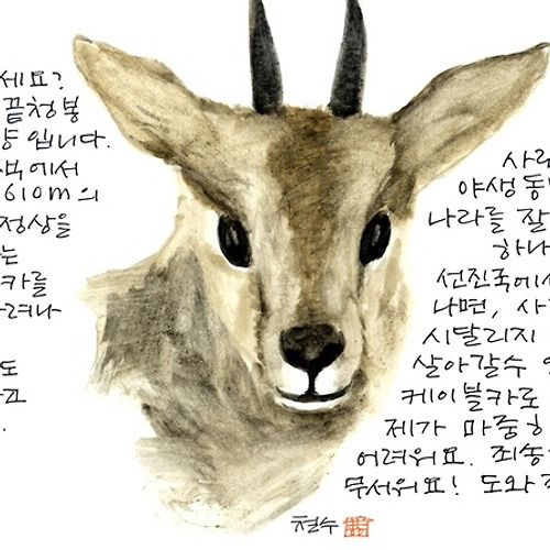 프로필 이미지