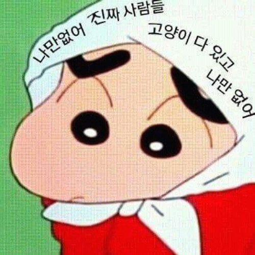 장모종 고양이와 강아지의 털 뭉침 예방과 해결 방법