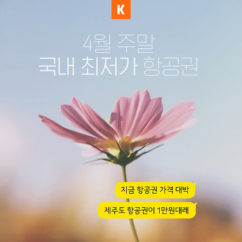 4월 국내 최저가 항공권 + 제주 항공권이 1만원대!