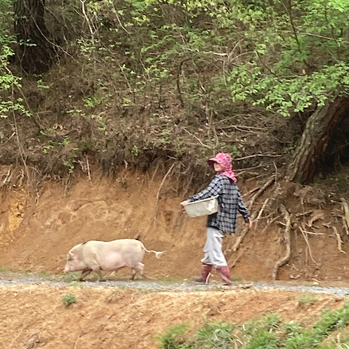 프로필 이미지